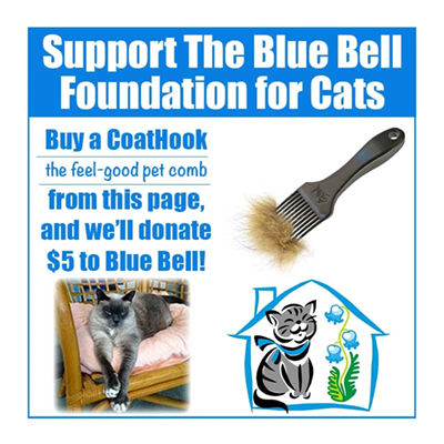blue bell cat