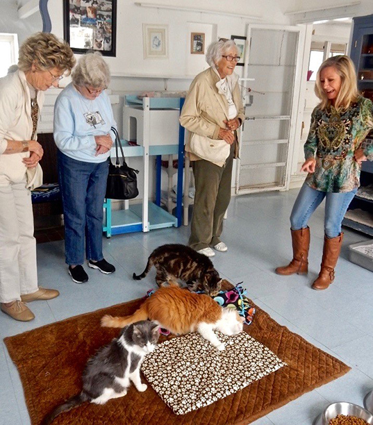 Pamela conducts a tour of the Blue Bell for members of the Laguna Woods Cat Club