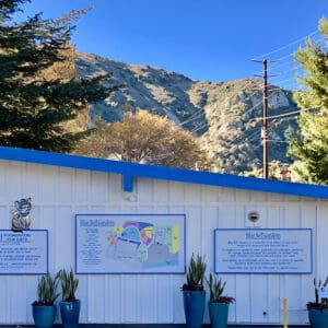 A white building with blue trim and three signs on the side.