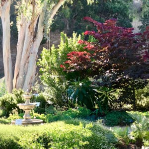 A garden with trees and bushes in the background.