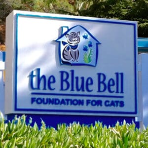 A sign for the blue bell foundation