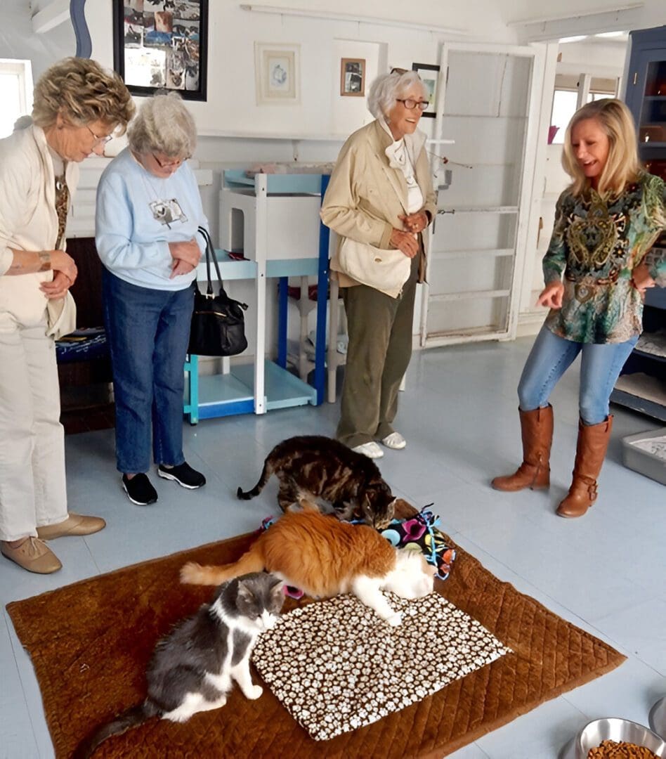 Pamela gives a tour to Blue Bell visitors