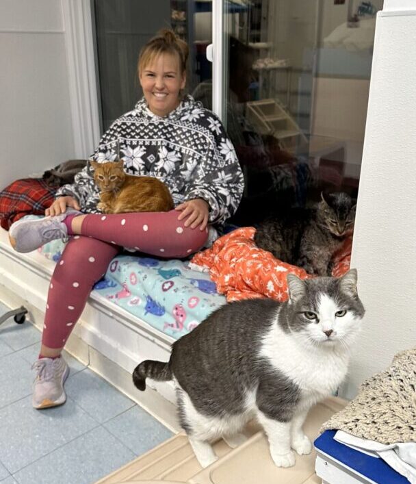 A woman sitting on a bench with a few cats