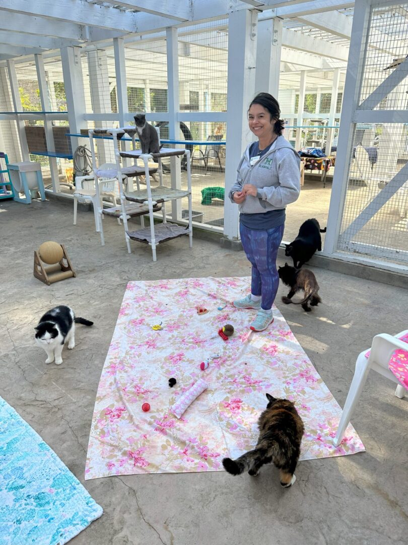 A woman standing on a patio with a few cats