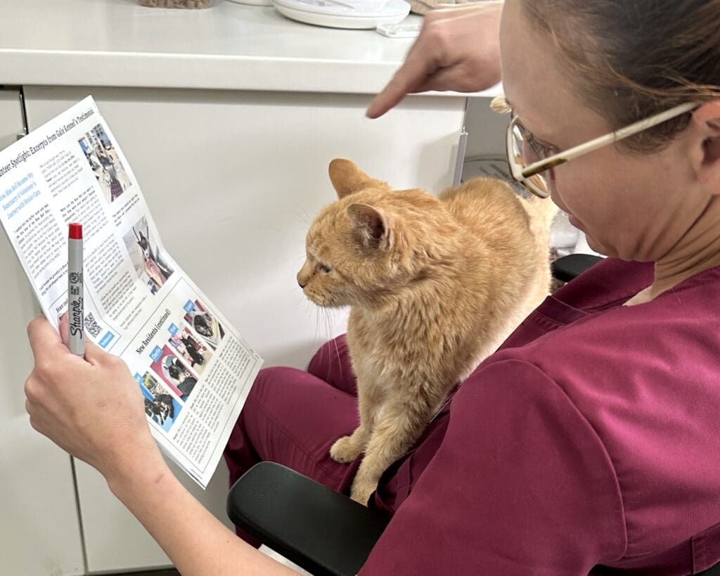 Blue Bell Staff and cat reading newsletter